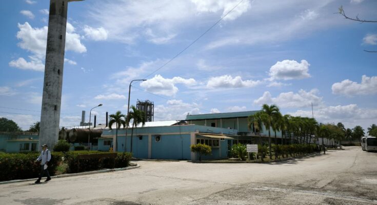 Tropical Contramaestre S.A: un destino fecundo 1 Empresa Mixta Tropical Contramaestre S.A en aniversario 5 de constiuida