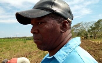 Producir comida para el pueblo propósito del campesino Rogelio Mora González