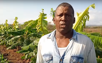 Productor de alimentos de Contramaestre