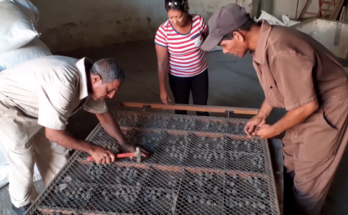 Aporta innovadora a vitalidad de la industria cafetalera en Contramaestre