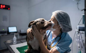Veterinarios, amantes del reino animal 2 Día del veterinario, quienes velan por la salud animal