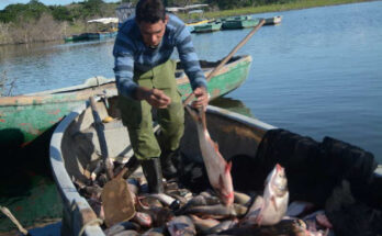 Hombres cómplices de aguas dulces 5 Hombres cómplices de aguas dulces