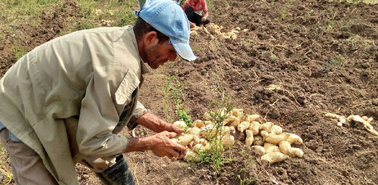Celebran campesinos el 17 de Mayo