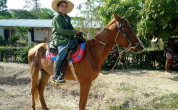 Festival Guajirito Soy tras la identidad campesina 1 Identidad campesina en Festival Guajirito Soy