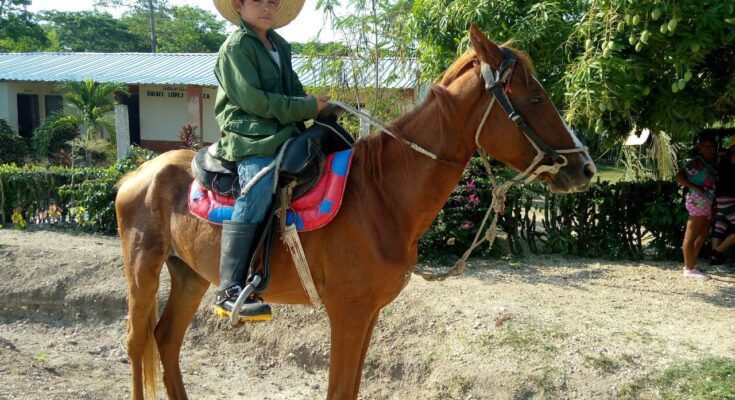 Festival Guajirito Soy tras la identidad campesina 1 Identidad campesina en Festival Guajirito Soy