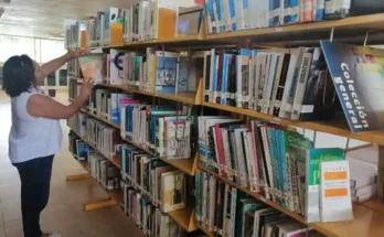 Bibliotecarios: Custodios de la cultura