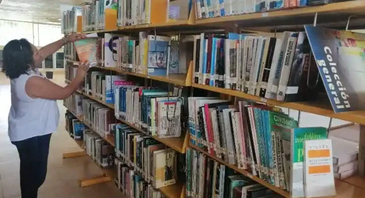 Bibliotecarios: Custodios de la cultura 1 Bibliotecarios: Custodios de la cultura