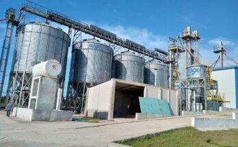 Planta de Secado y Beneficio de Granos de Contramaestre se prepara para cosecha de maíz 8 Fábrica de granos de Contramaestre se prepara para cosecha de maíz