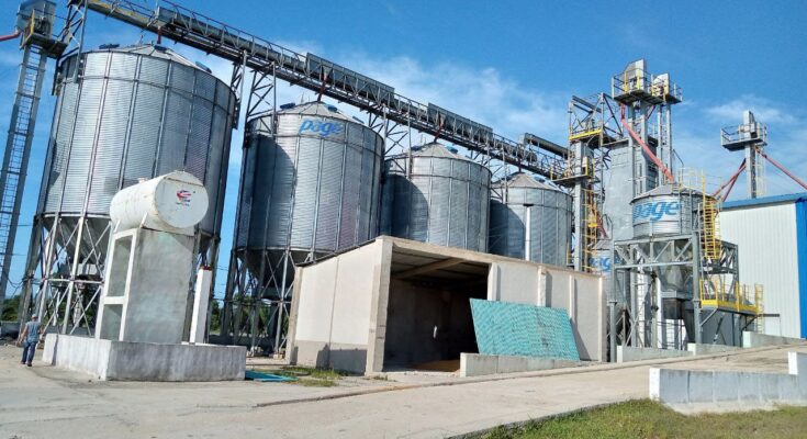 Fábrica de granos de Contramaestre se prepara para cosecha de maíz