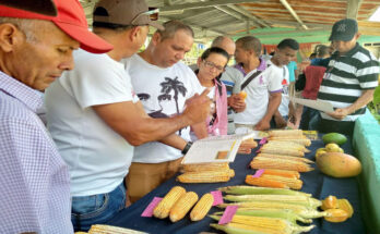 Efectuado en Contramaestre primera edición del Festival del Maíz 10 Efectuado en Contramaestre primera edición del Festival del Maíz