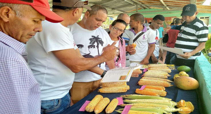 Efectuado en Contramaestre primera edición del Festival del Maíz