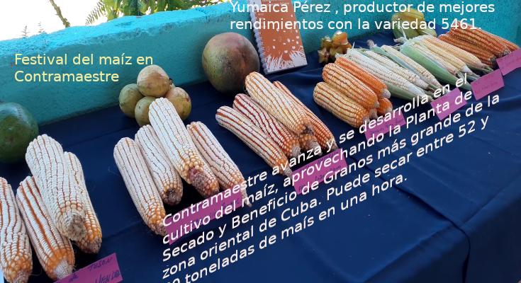 Desarrollan festival del maíz en Contramaestre