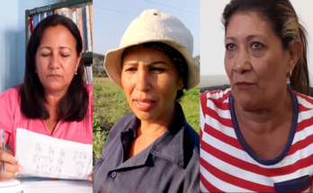 La mujer, una historia cotidiana de trabajo por la patria y por la vida