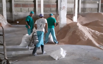 Contramaestre produce pienso para alimentación porcina