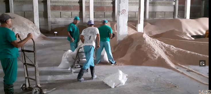 Producción de pienso garantiza planes porcinos en Santiago de Cuba (+Video) 1 Contramaestre produce pienso para alimentación porcina