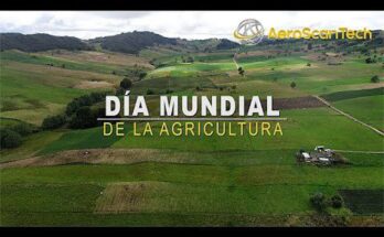 Por una Agricultura mundial sostenible 3 Día Mundial de la Agricultura