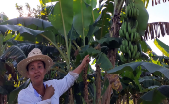 Yumaika y su pasión por el cultivo de la tierra