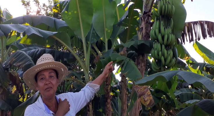 Yumaika y su pasión por el cultivo de la tierra 1 Yumaika y su pasión por el cultivo de la tierra