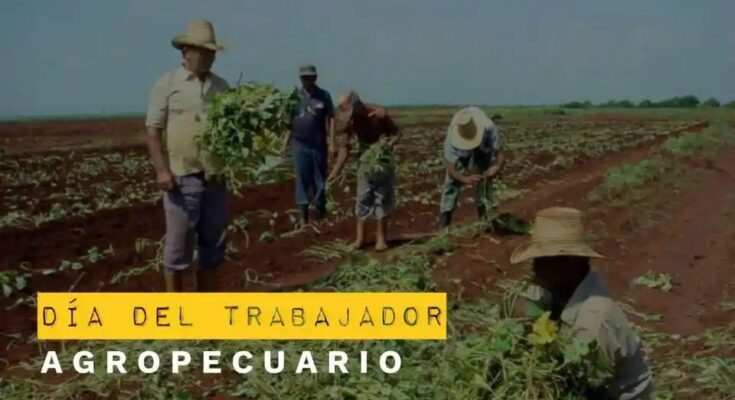 Trabajadores agropecuarios de sol a sol, en todas las temporadas 1 Trabajadores agropecuarios celebran su día