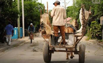 Recogida de basura en Maffo: problema sin solución 1 Problemas con la recogida de basura en Maffo