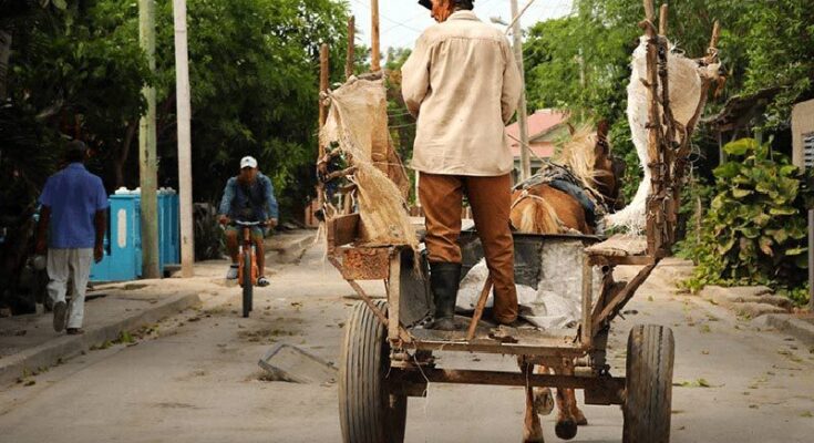 Recogida de basura en Maffo: problema sin solución 1 Problemas con la recogida de basura en Maffo