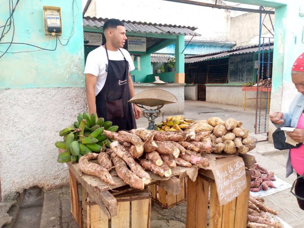 Maffo a las puertas del 2025 4 Maffo a las puertas del 2025