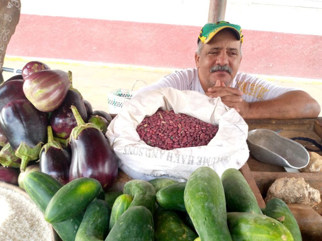 Maffo a las puertas del 2025 2 Maffo a las puertas del 2025
