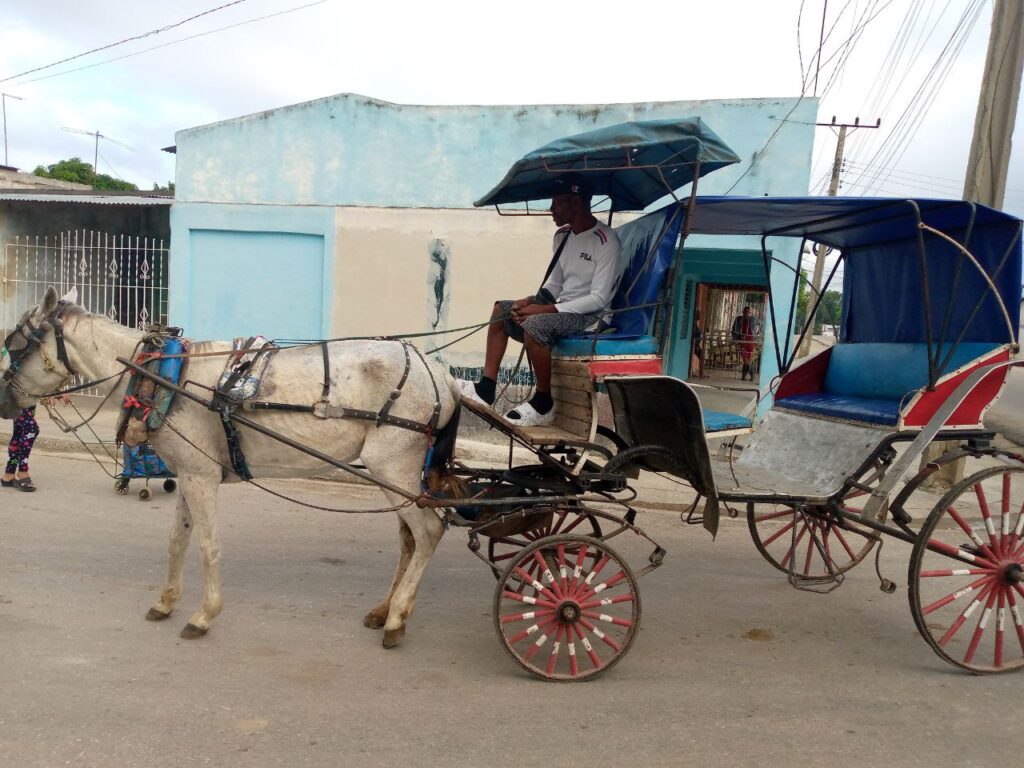 Maffo a las puertas del 2025 11 Maffo a las puertas del 2025