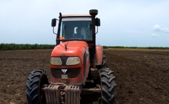 Agricultura de Contramaestre en el 2024