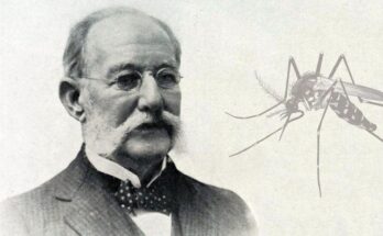 Carlos Juan Finlay descubre el vector aedes aegypti transmisor de la fiebre amarilla