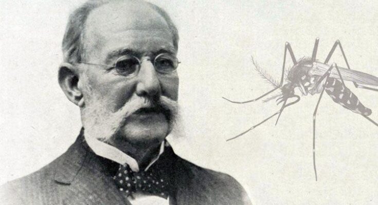 Carlos Juan Finlay descubre el vector aedes aegypti transmisor de la fiebre amarilla