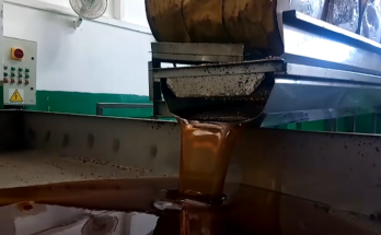 Balance Apícola en Contramaestre 2024