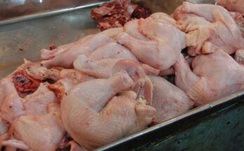 ¿Desaparecido el pollo regulado? 1 Pollo en Contramaestre