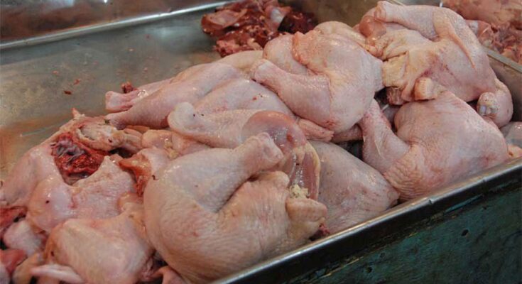 ¿Desaparecido el pollo regulado? 1 Pollo en Contramaestre