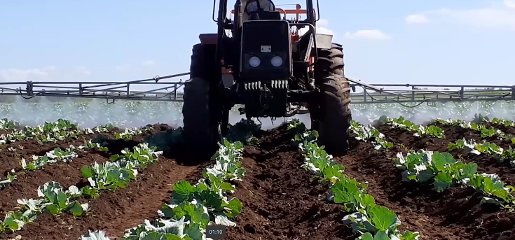 Economía superavitaria, el camino difícil pero no imposible hacia la sostenibilidad de Contramaestre 1 Economía superavitaria en Contramaestre