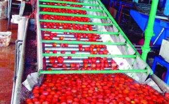 Industria Alimentaria