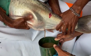 trabajadores de la pesca de Contramaestre