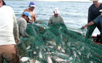 Pescadores en defensa de la alimentación del pueblo 1 Pescadores de Contramaestre
