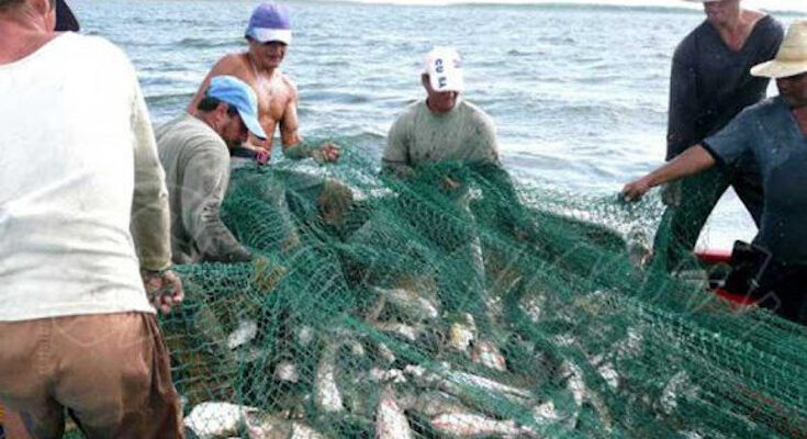 Pescadores en defensa de la alimentación del pueblo 1 Pescadores de Contramaestre