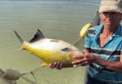 Trabajadores de la pesca de Contramaestre se proponen un año superior