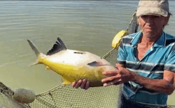 Trabajadores de la pesca de Contramaestre se proponen un año superior 1 Pesca de Contramaestre