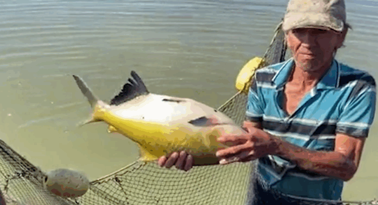 Trabajadores de la pesca de Contramaestre se proponen un año superior 1 Pesca de Contramaestre
