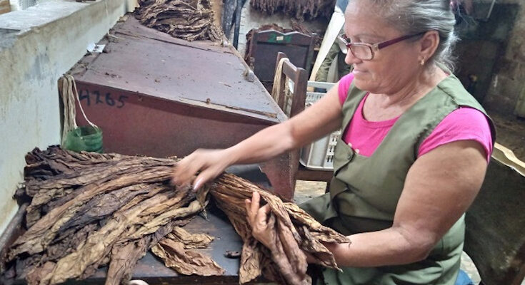 El oficio de contadora de capa en la vida de Damaris del Toro Sánchez 1 El oficio de contadora de capa en la vida de Damaris del Toro Sánchez