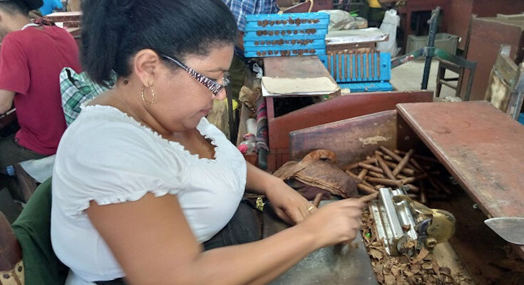 Identidad tabacalera desde la mirada de Mayelín Rodríguez Gutiérrez 1 Identidad tabacalera desde la mirada de Mayelín Rodríguez Gutiérrez