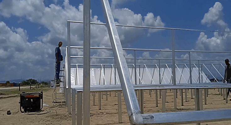 Construyen en Contramaestre parque térmico para producción acelerada de semillas 1 Construyen en Contramaestre parque térmico para producción acelerada de semillas