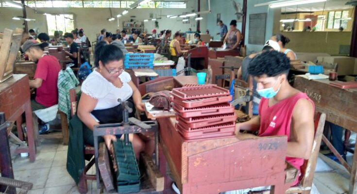 Energía fotovoltaica favorece sector tabacalero en Contramaestre 1 Energía fotovoltaica favorece vida laboral y productiva del sector tabacalero en Contramaestre