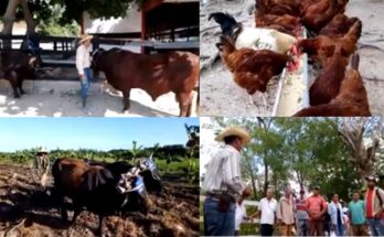 Convertir en norma las experiencias excepcionales en la producción de alimentos