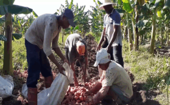 Contramaestre con discretos avances en equilibrio financiero finalizado el primer semestre del año