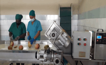 Aporta al desarrollo local de Contramaestre mini industria La Riqueza