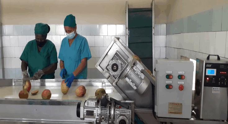 Aporta al desarrollo local de Contramaestre mini industria La Riqueza